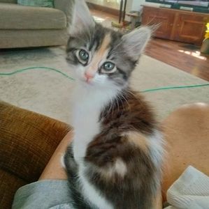 Meet your Posher, Pamela